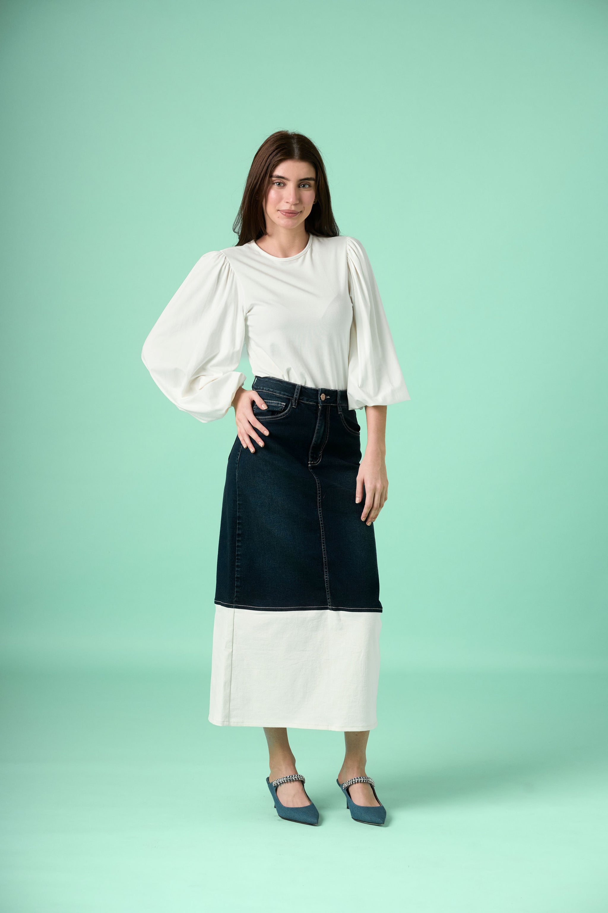 Karina Denim Skirt