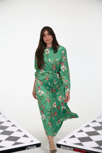 Soire Silk Dress