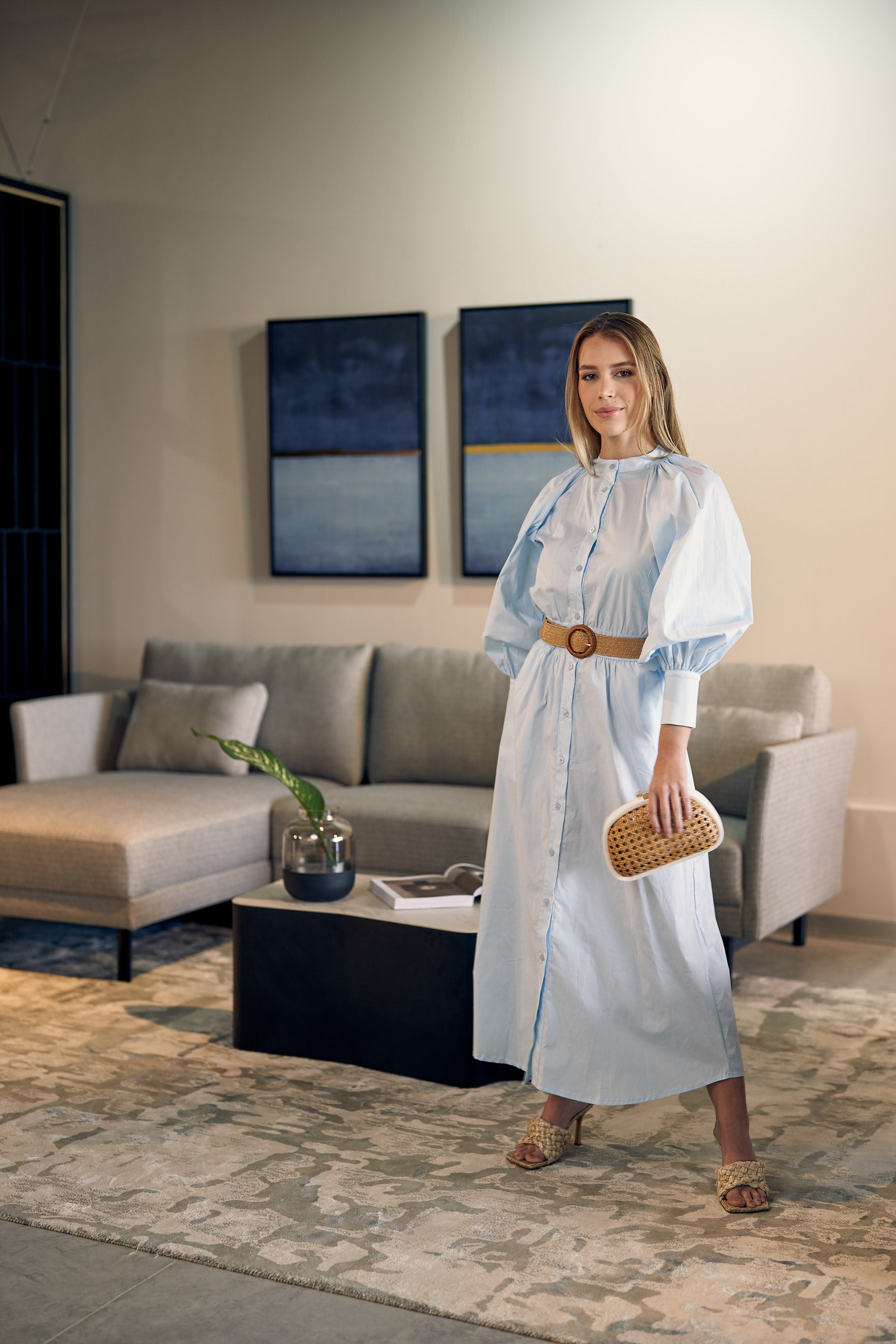 Sky Sleeves Button Down Dress - Blue